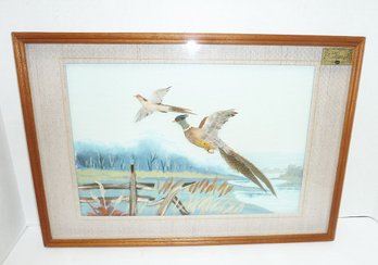 Feather Art Framed Picture