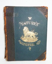 Antique Nature Book 1890's