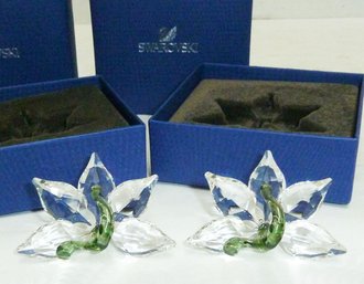 Swarovski Crystal ORCHID Pair In Box