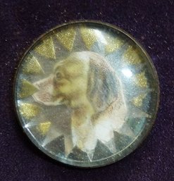 Antique Glass Bridle Horse Rosette, Dog