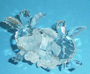 Swarovski Crystal Baby Sea Turtles, Box