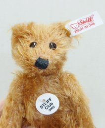 Steiff 2002 Club Bear In Orig Box