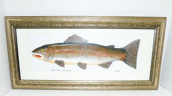 Framed 19 Inch Artist Print Fish, SIGNED