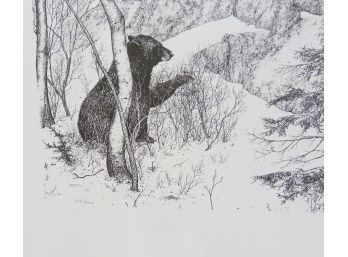 Signed Numbered Bear Picture