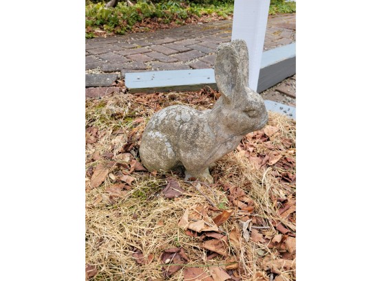 Stone Bunny (front Yard)