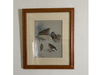 Bird Picture Matted In Wood Frame (BR 3)