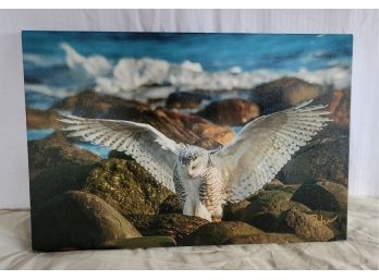Snowy Owl Canvas Print