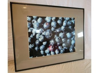 Blueberries Framed Artwork Signed
