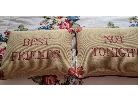 Set Of 2 Decorative Throw Pillows