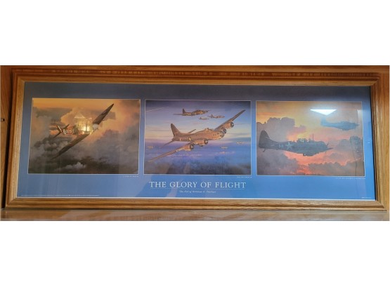 The Glory Of Flight Framed Print