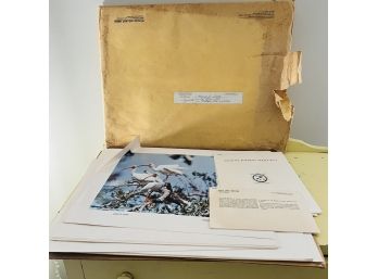 Set Of 22 Color Prints From The US Dept. Of The Interior