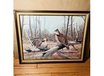 Framed Print Of Birds - AJ Rudisill 21'X27'