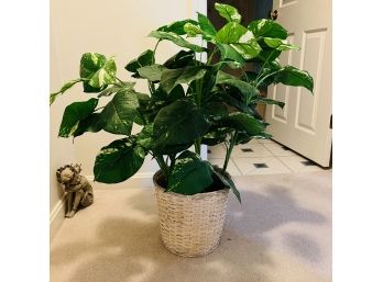 Faux Plant In Basket (Upstairs)
