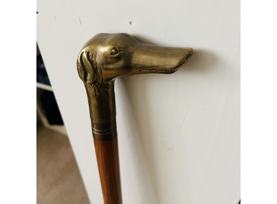 Walking Stick With Brass Tone Dog Head Handle (Office)