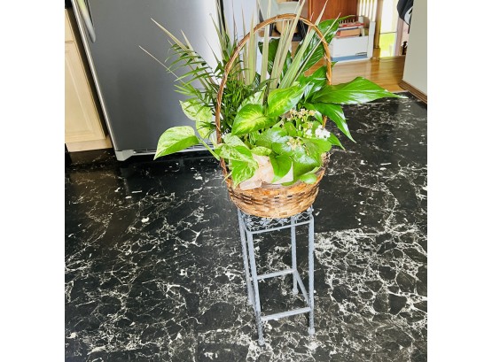 Plant Stand With Foliage Basket
