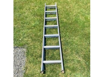 Montgomery Ward Extension Ladder (Shed)