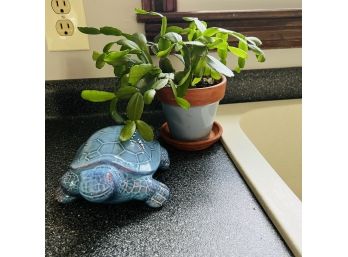 Ceramic Turtle And Christmas Cactus Plant (Kitchen)