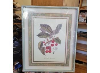 Framed Cherries Art Print