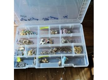 Lot Of Costume Jewelry Broaches In Divided Plastic Storage Container