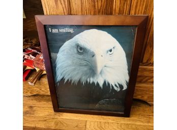 Funny Framed Eagle Print (Dining Room)