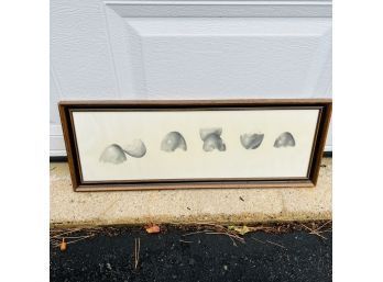 Jane Davis Eggshells Framed Art