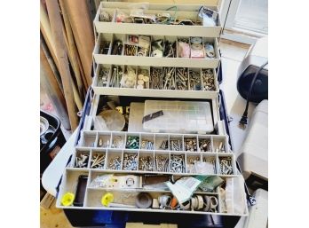 Tackle Box Full Of Screws, Nails, Nuts, Bolts And More! (Zone 1)