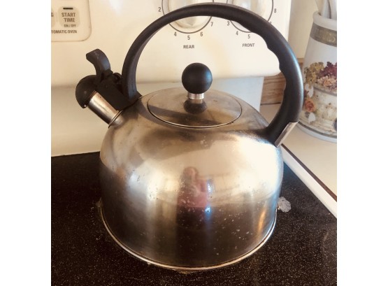 Stainless Steel Tea Kettle (Kitchen)