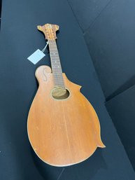 Vintage Handmade Custom Mandolin (Project Mandolin)