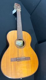 Vintage Giannini Guitar (Project Guitar)
