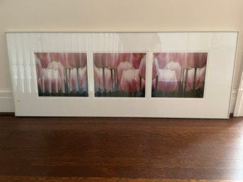 1996 FRAMED AND SIGNED GARY SAN PIETRO PHOTOGRAPHY 'DREAMING MAIDS' 77/125