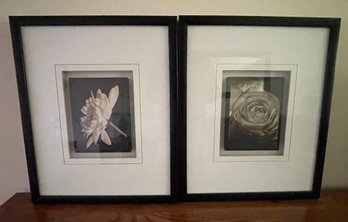 Framed Photography Unsigned