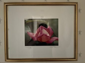 FRAMED PHOTOGRAPIC PRINT 'ROSE'
