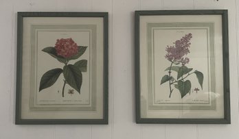 Pair Of Framed Prints