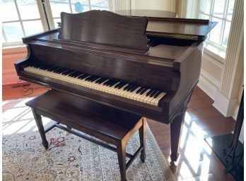 Chickering Baby Grand Piano, Circa 1935 With Bench