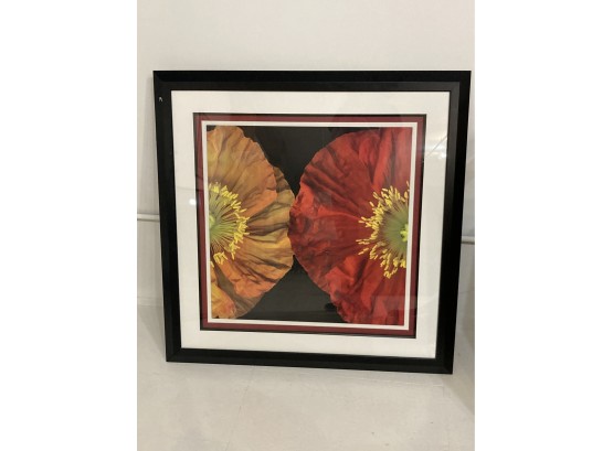 FRAMED PRINT BY PIP BLOOMFIELD 'RED AND YELLOW POPPY II'