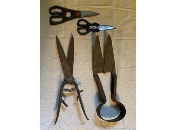 Antique Sheep Shears, Antique Grass Clippers, And Newer Scissors