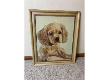1950s Little Puppy Framed Print
