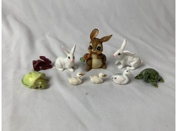 Miniature Bunny Rabbits And Turtles