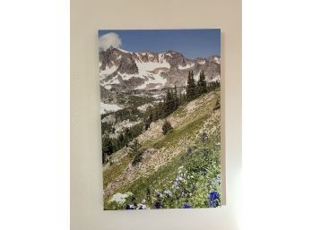 Snowy Mountains And Spring Flowers Photo Canvas - Photographer Signed