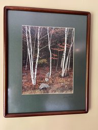 Birch Tree Print
