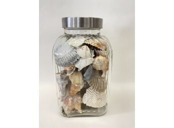 Glass Container Of Shells