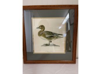 Antique Duck Lithograph With Burl Frame