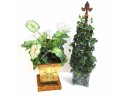 Faux Ivy Topiary And Greenery