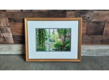 Wisteria And Pond Framed Print