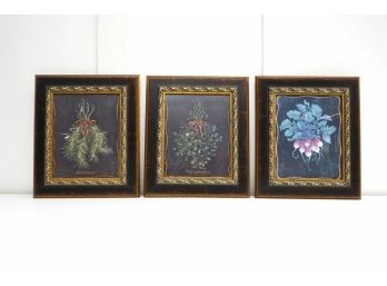 Framed Herb And Vegetable Prints Set Of Three
