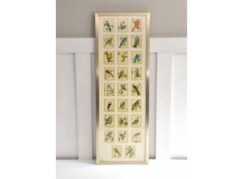 Bird Alphabet Print, Framed