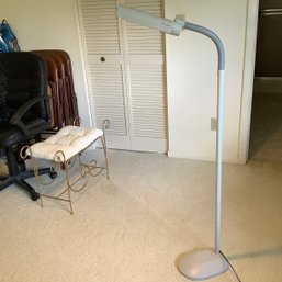 Floor Lamp Ottlite, Flexible Neck