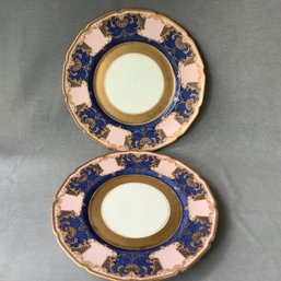 Pair Of Royal Doulton Plates