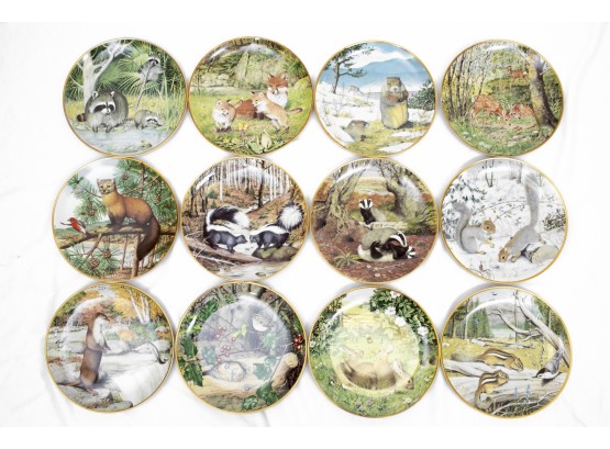 Franklin Porcelain Set Of 12 Decorative Plates