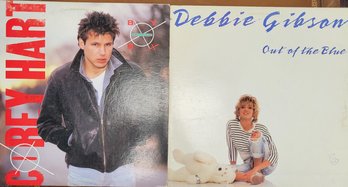 Eighties - 2 LP Lot - Corey Hart & Debbie Gibson - Lot #7